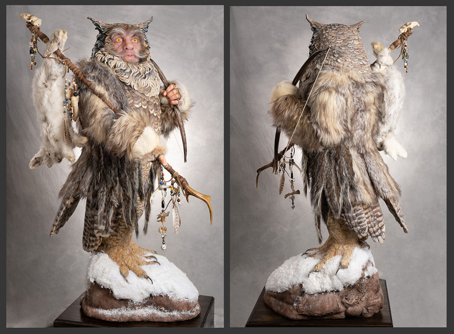 Dan-Chudzinski-owl