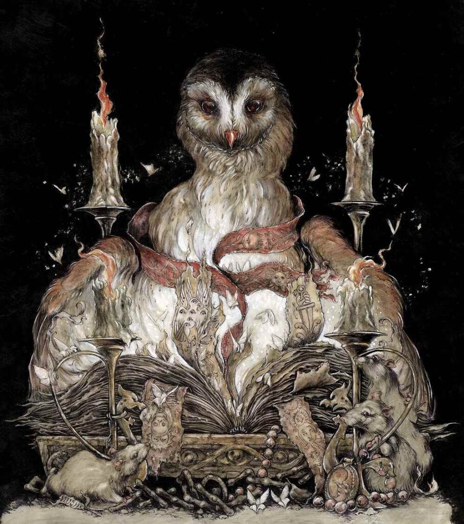 Jeremy-Hush-owl