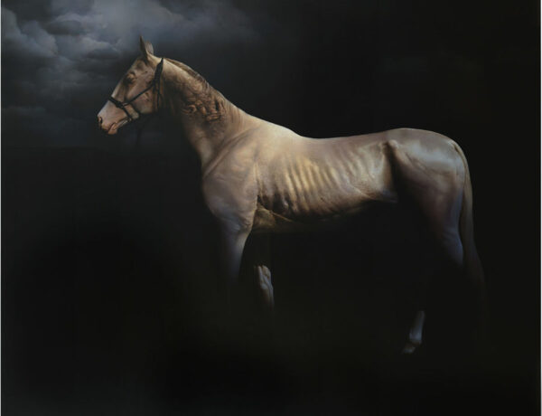 Roland-Mikhail-horse